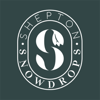 Example logo